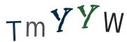 圖片型 CAPTCHA